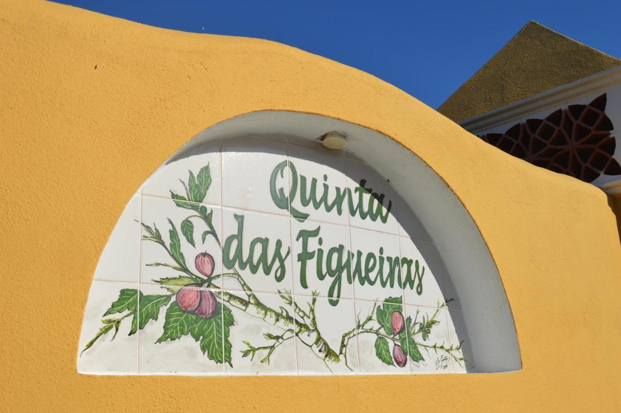 Quinta Das Figueiras 빌라노바데카셀라 외부 사진